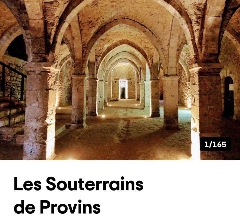 Harmonia Maison De Caractere Proche Provins Gouaix Extérieur photo